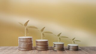 प्रतिकात्मक फोटो