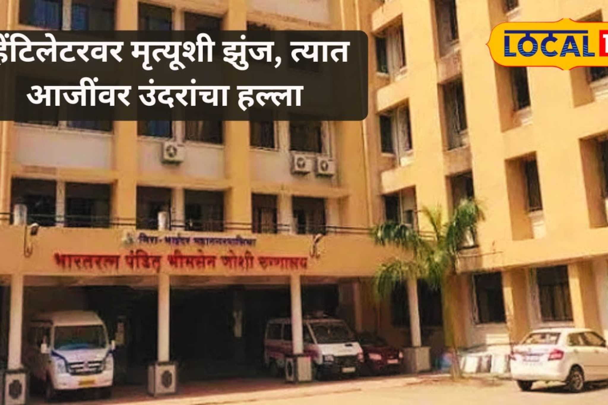 व्हेंटिलेटरवर असलेल्या महिलेला उंदराने कुरतडलं; भाईंदरच्या ICU मधील 'ती' भयावह दृश्यं पाहून सर्वच हादरली