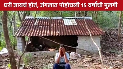 nashik girl kidnapped (Ai generated Photo)