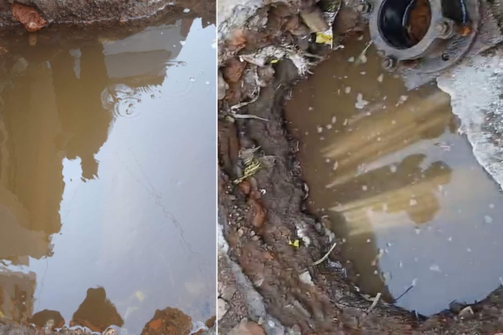 नाशिकरांच्या जीवाशी खेळ, पिण्याच्या पाईपलाईनमध्ये आढळलं मेलेलं कबुतर