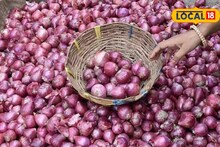 APMC Market : गुढीपाडव्याला शेतकऱ्यांच्या पदरी निराशाच, कांद्याला भाव नाहीच, द्राक्षाला काय मिळाला दर?