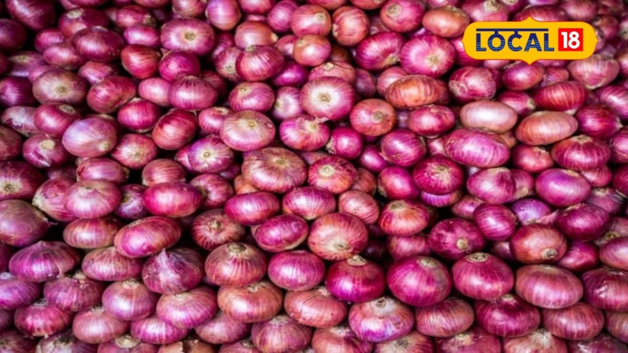 APMC Market: केळी दर घसरलेलेच, लिंबू आणि कांद्याला काय मिळाला भाव, एका क्लिकवर चेक करा APMC Market: केळी दर घसरलेलेच, लिंबू आणि कांद्याला काय मिळाला भाव, एका क्लिकवर चेक करा