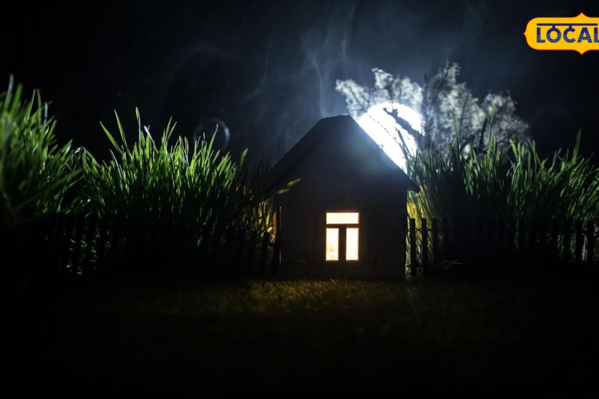 पुण्यात 2 हजार रूपयांसाठी 4 तरुणांचं कांड; मध्यरात्रीच्या अंधारात गाठलं वृद्ध महिलेचं घर अन् संतापजनक कृत्य