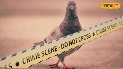 कबुतर चोर समजून तरुणाची हत्या (प्रतिकात्मक फोटो)