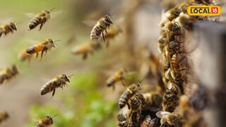तरुणाचा उंचावरून पडून दुर्दैवी मृत्यू (प्रतिकात्मक फोटो)