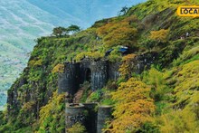 पाया घसरला अन् 350 फूट खोल दरीत कोसळले डॉक्टर; डोळे उघडताच समोर घनदाट झाडी अन् अंधार , मग...सिंहगड किल्ल्यावरील थरार