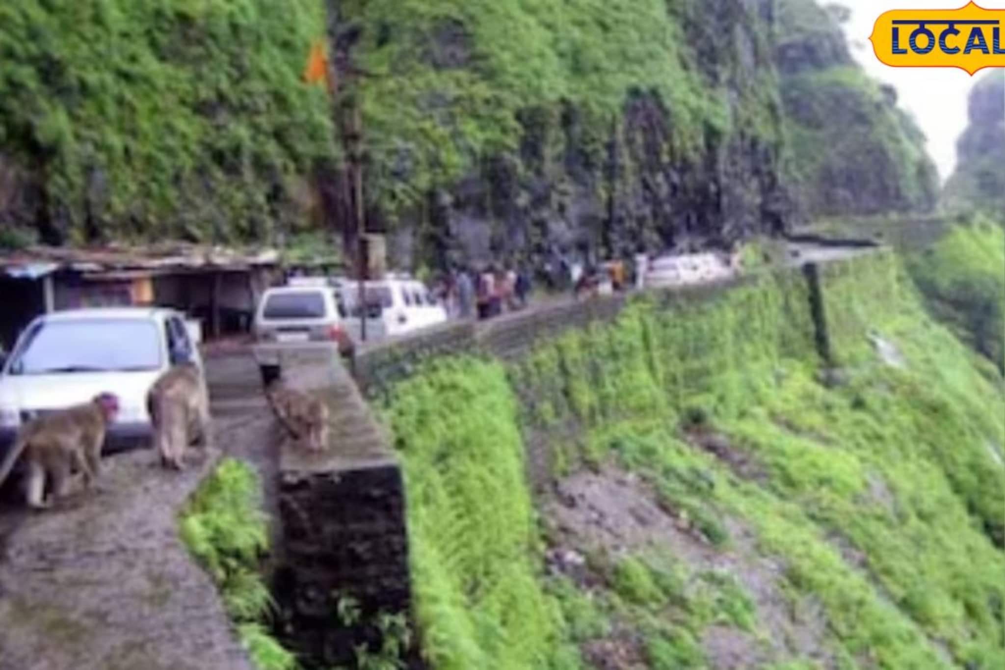 पुण्यातून कोकणात जाणारा 'हा' महत्त्वाचा घाट सव्वा महिना बंद; या पर्यायी मार्गांचा करा वापर पुण्यातून कोकणात जाणारा 'हा' महत्त्वाचा घाट सव्वा महिना बंद; या पर्यायी मार्गांचा करा वापर