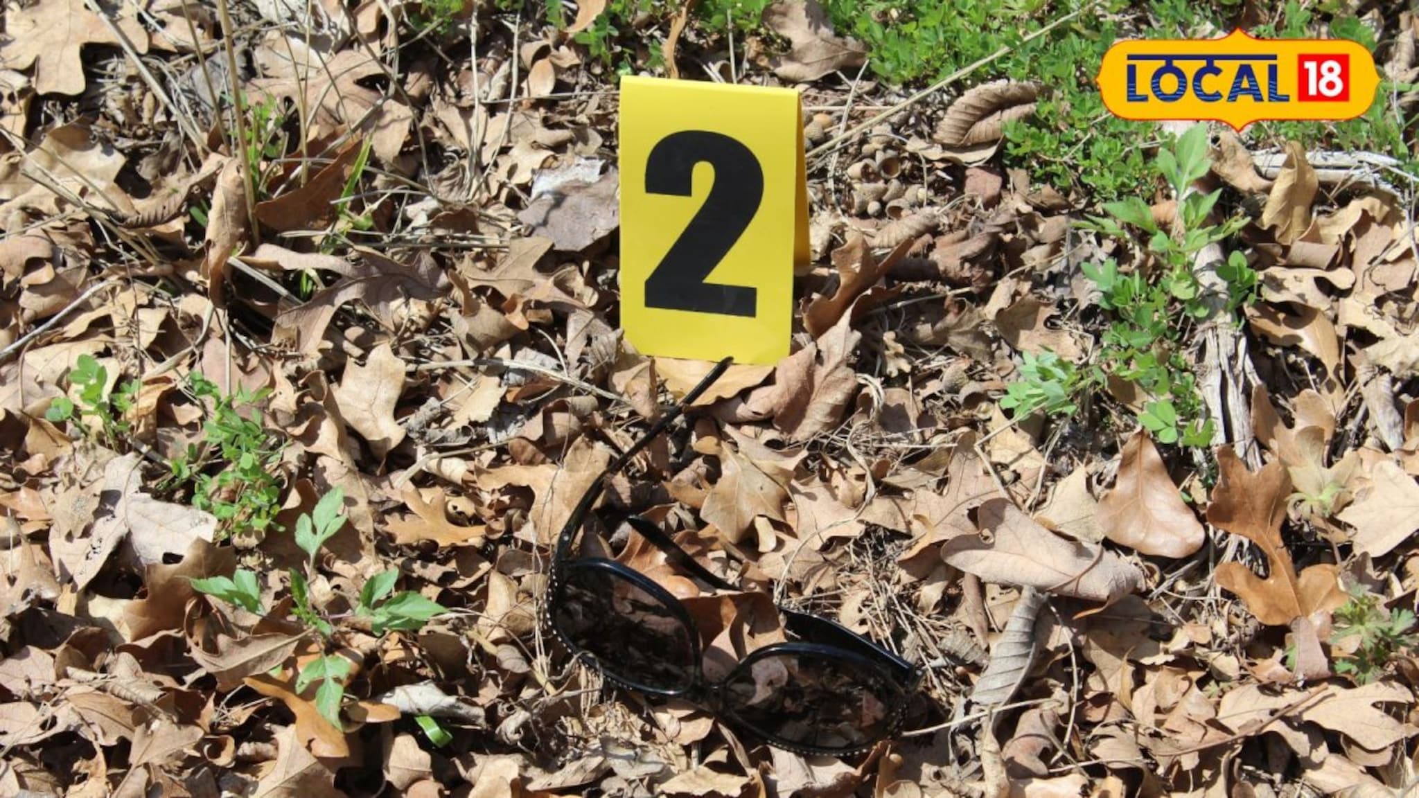 पुण्याच्या जंगलात तरुणीचा सडलेला मृतदेह; प्रियकराचं ते कांड ऐकून सगळ्यांचा उडाला थरकाप