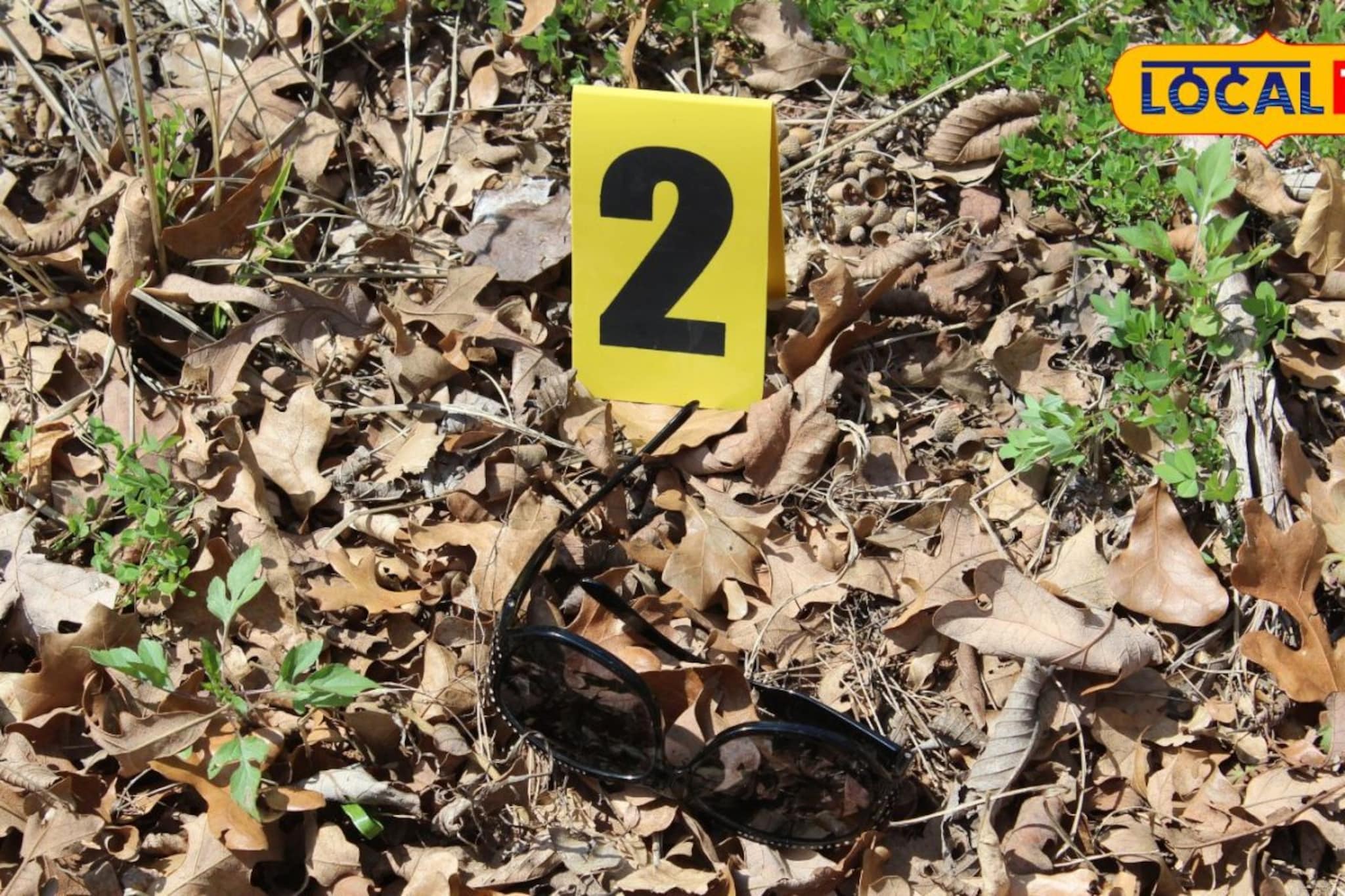 पुण्याच्या जंगलात तरुणीचा सडलेला मृतदेह; प्रियकराचं ते कांड ऐकून सगळ्यांचा उडाला थरकाप