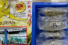 बँकॉक-पुणे विमानातून ७५ लाखांचा हायड्रोपोनिक गांजा जप्त, वॉशिरूममध्ये लपवला होता पण...