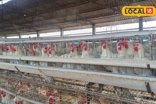 उन्हाळ्यात कोंबड्यांना मिळेल थंडावा, अमरावतीमधील शेतकऱ्याने शोधला देशी जुगाड, Video