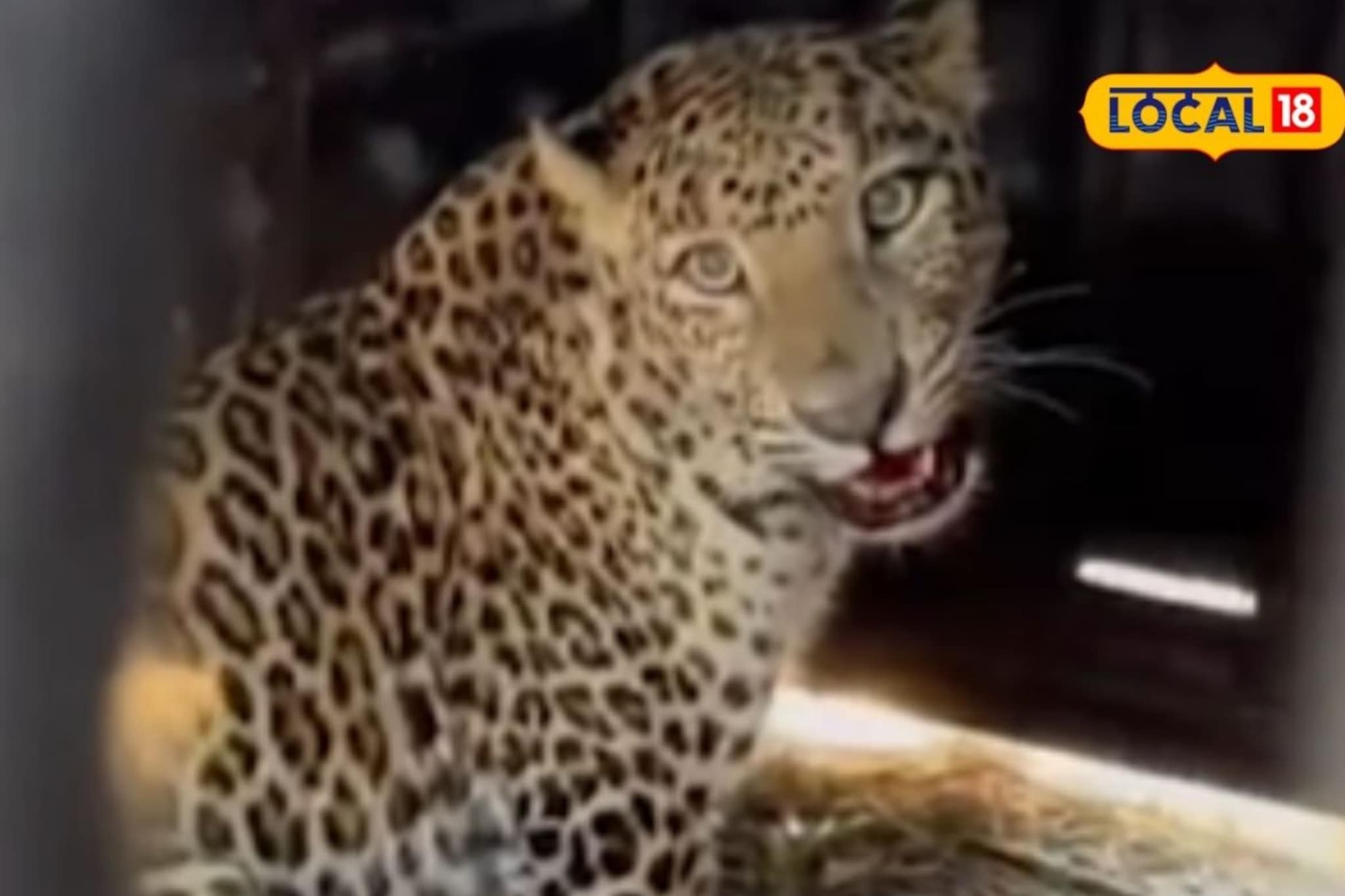 उत्तर पुणे जिल्ह्यात दहशत वाढली, ‘त्या’ दोघांमुळे ‘लॉकडाऊन’ची स्थिती, एक जेरबंद