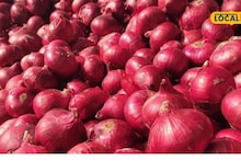 APMC Market:  द्रांक्षाला 14000 रुपये दर, कांदा आणि केळीला आज काय मिळाला भाव? इथं चेक करा