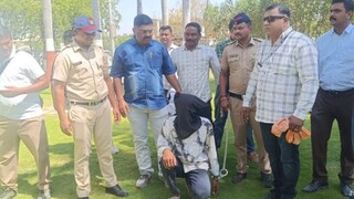 यवतमाळच्या जंगलात तरुणीची प्रियकराकडून हत्या