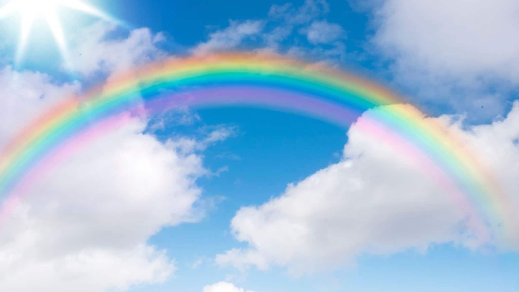 Rainbow : इंद्रधनुष्याचा आकार नेहमी अर्धवर्तुळ का असतो? तो चौकोन किंवा त्रिकोणी का नसतो? 99 टक्के लोकांना माहित नसेल कारण