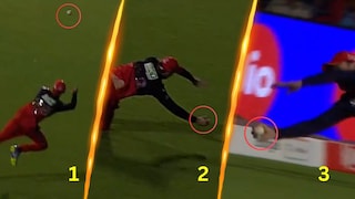 philip salt takes brillaint catch philip salt takes brillaint catch