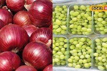 APMC Market: कांद्याच्या दरात पुन्हा तेजी, केळी आणि द्राक्षाला काय मिळाला भाव? Video