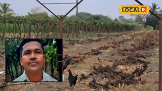 पोटच्या मुलाप्रमाणं जपलं, पण निसर्गानं घात केला, द्राक्ष उत्पादक शेतकऱ्याचं टोकाचं पाऊल, सांगलीत हळहळ