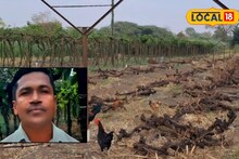 पोटच्या मुलाप्रमाणं जपलं, पण निसर्गानं घात केला, द्राक्ष उत्पादक शेतकऱ्याचं टोकाचं पाऊल, सांगलीत हळहळ