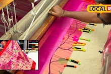 Handloom Saree: लाखाच्या अन् हजाराच्या साडीत नेमका फरक काय? Video पाहा, तुम्हालाच कळेल खरं कारण