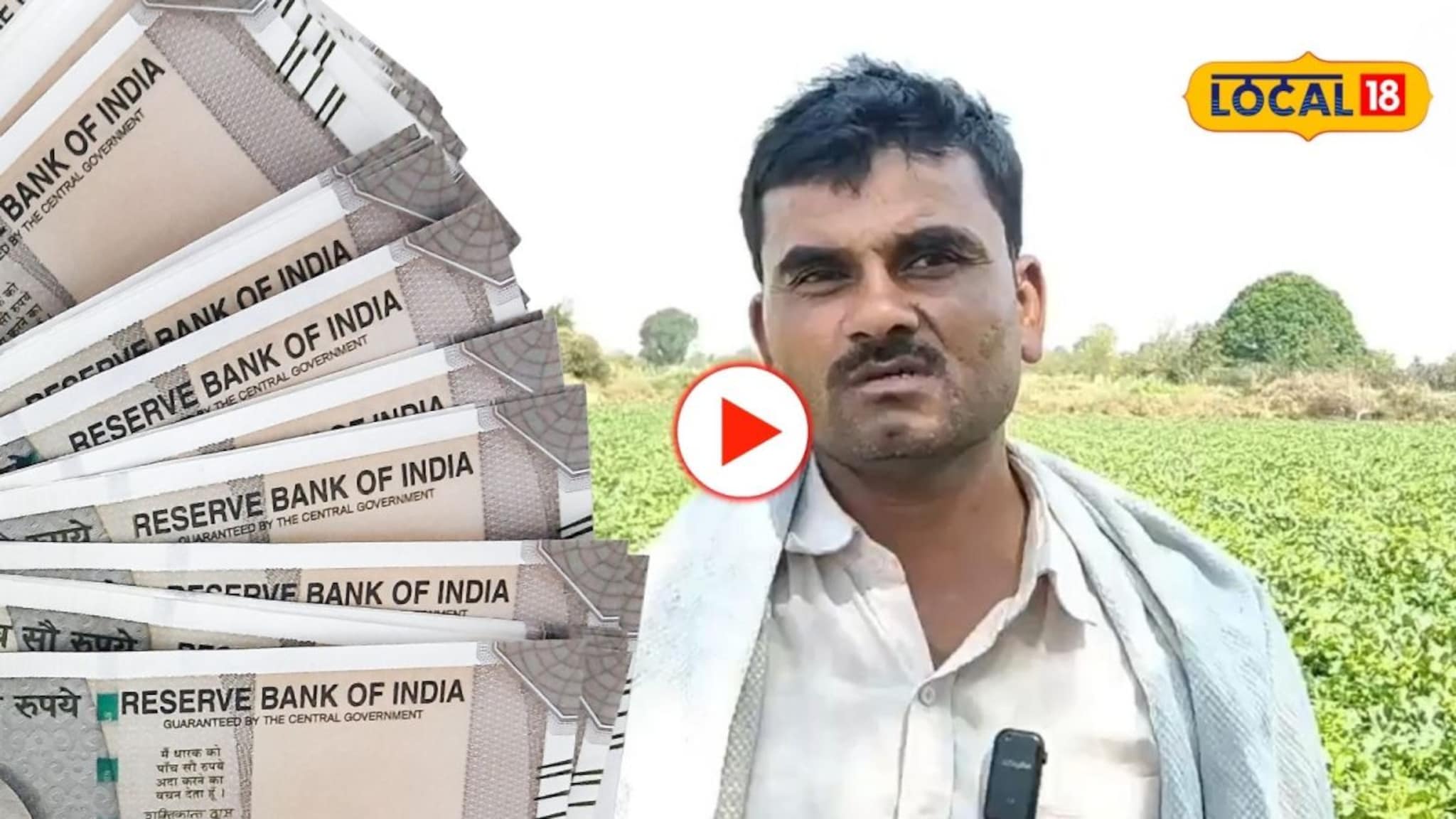 शिक्षक शेतकऱ्याची 65 दिवसांत 250000 बंपर कमाई! You tube वर पाहून केली 'या' पिकाची लागवड