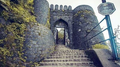 सिंहगडावर मधमाशांचा हल्ला: लहान मुलांसह अनेक पर्यटक जखमी, 7-8 अस्पताल में भर्ती.