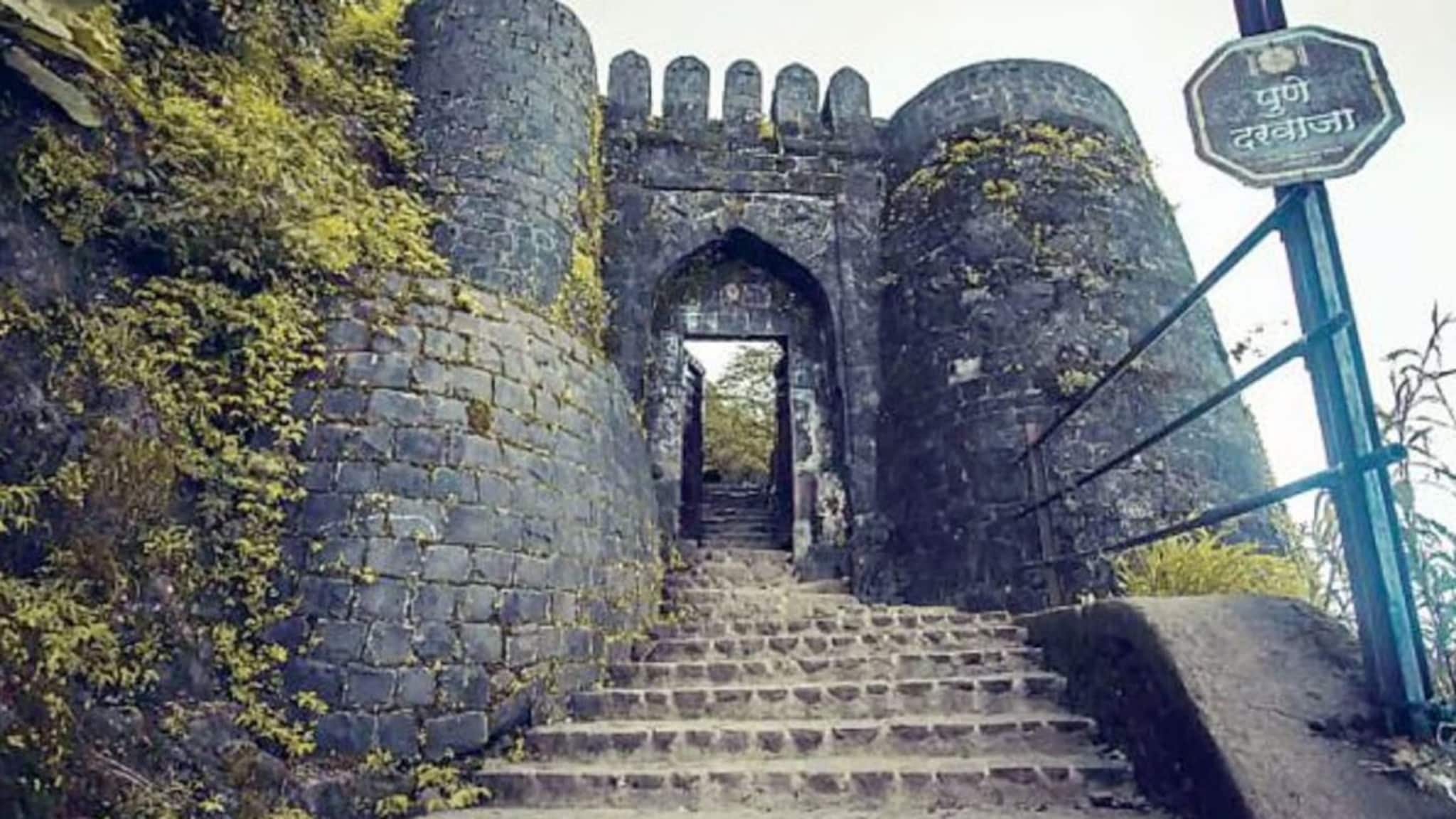 Pune: लहान मुलांनाही सोडलं नाही, सिंहगडावर मधमाशांचा पर्यटकांवर हल्ला, अनेक जण जखमी, गडावरचे PHOTOS