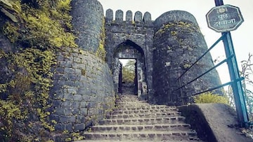 Pune: लहान मुलांनाही सोडलं नाही, सिंहगडावर मधमाशांचा पर्यटकांवर हल्ला, अनेक जण ज