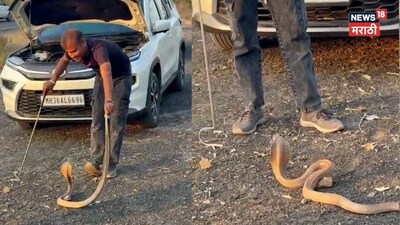 गाडी थांबवली सापासाठी, पण घडलं भयंकर; ३ तास लपाछपीनंतर सापाला वाचवलं!