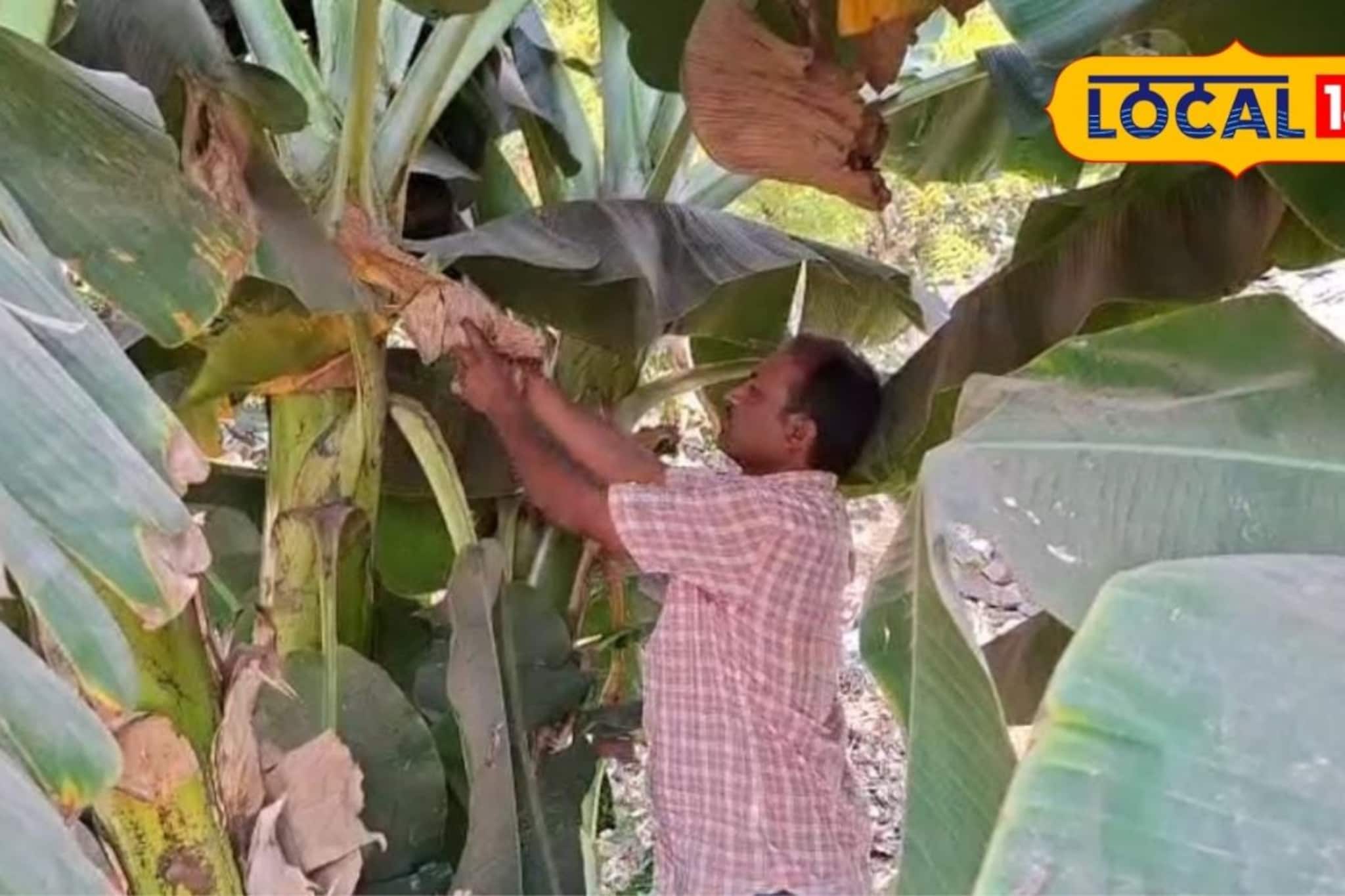 वाया जाणाऱ्या पाण्याचा असा उपयोग,माऊली यांचा 'हराळवाडी पॅटर्न' चर्चेत,काय केलं? वाया जाणाऱ्या पाण्याचा असा उपयोग,माऊली यांचा 'हराळवाडी पॅटर्न' चर्चेत,काय केलं?