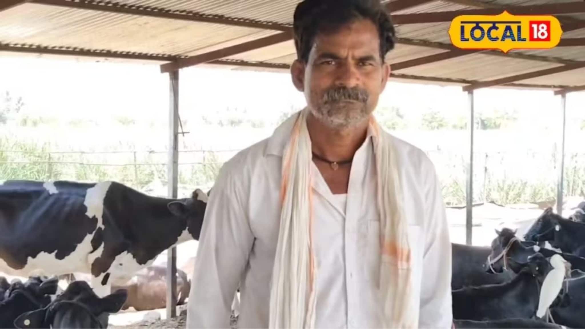 शिक्षण फक्त दहावी, गावात राहून इंजिनिअरपेक्षा जास्त कमाई, सोलापूरच्या शेतकऱ्यानं काय केलं? Video