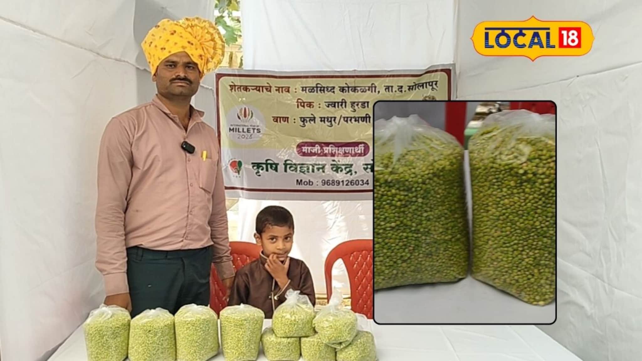 Success Story : शेती करावी तर अशी, पारंपरिक पद्धतीला फाटा देत केली हुरडा ज्वारी लागवड, आता लाखांत कमाई