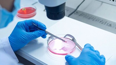 प्रतिकात्मक फोटो