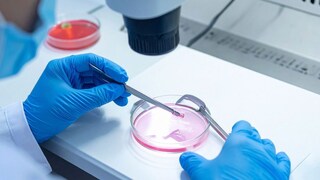 प्रतिकात्मक फोटो