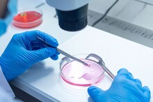 How Sperm Is Produced : पुरुषांच्या शरीरात 'स्पर्म' कसे तयार होतात? किती काळ राहतात जिवंत? सायन्स काय सांगतं, वाचा