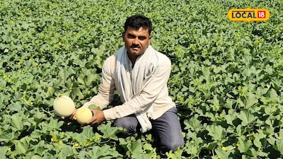 Teacher's YouTube-Inspired Farming Success: Watermelon-Muskmelon Yields Lakhs in Profit