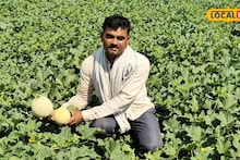 Youtube वर video पाहुन केली शेती, शिक्षकाचा टरबूज-खरबुज प्रयोग यशस्वी, इतक्या लाखांचा नफा