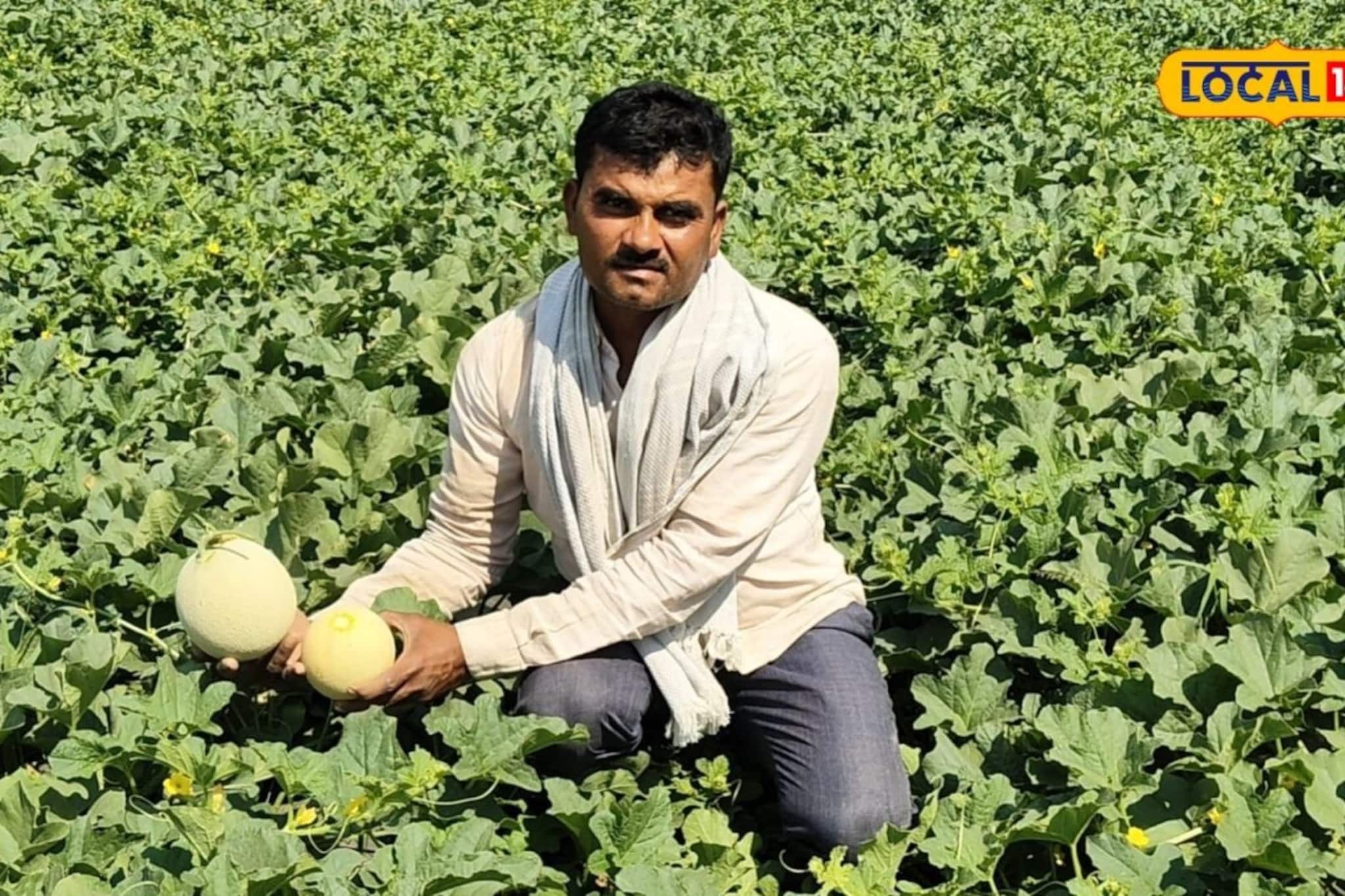 Youtube वर video पाहुन केली शेती, टरबूज-खरबुज प्रयोग यशस्वी,इतक्या लाखांचा नफा