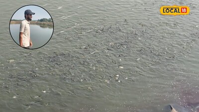 Highly Educated Youth Uzeb Patil Earns 60 Lakhs in Fish Farming, Inspires Others