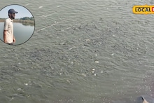 Success Story : उच्चशिक्षित तरुण रमला शेतीत, निवडला मत्स्यपालन व्यवसाय, 60 लाख रुपयांचा नफा, Video