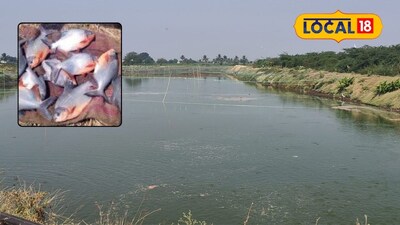 Patil's Fish Farming Formula: 29-Year-Old Earns 60 Lakhs in 2 Years