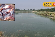 Success Story : मत्स्यपालन व्यवसाय भारी, कमाई होते दुप्पट, पाटलांचा सक्सेस फॅार्म्युला!