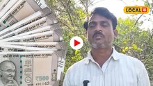 Video: 10 रुपयांचं फळ बनवेल लखपती, एकदाच लावा अन् 26 वर्ष कमवा