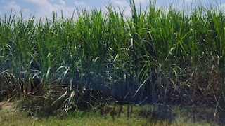 (प्रतिकात्मक फोटो)