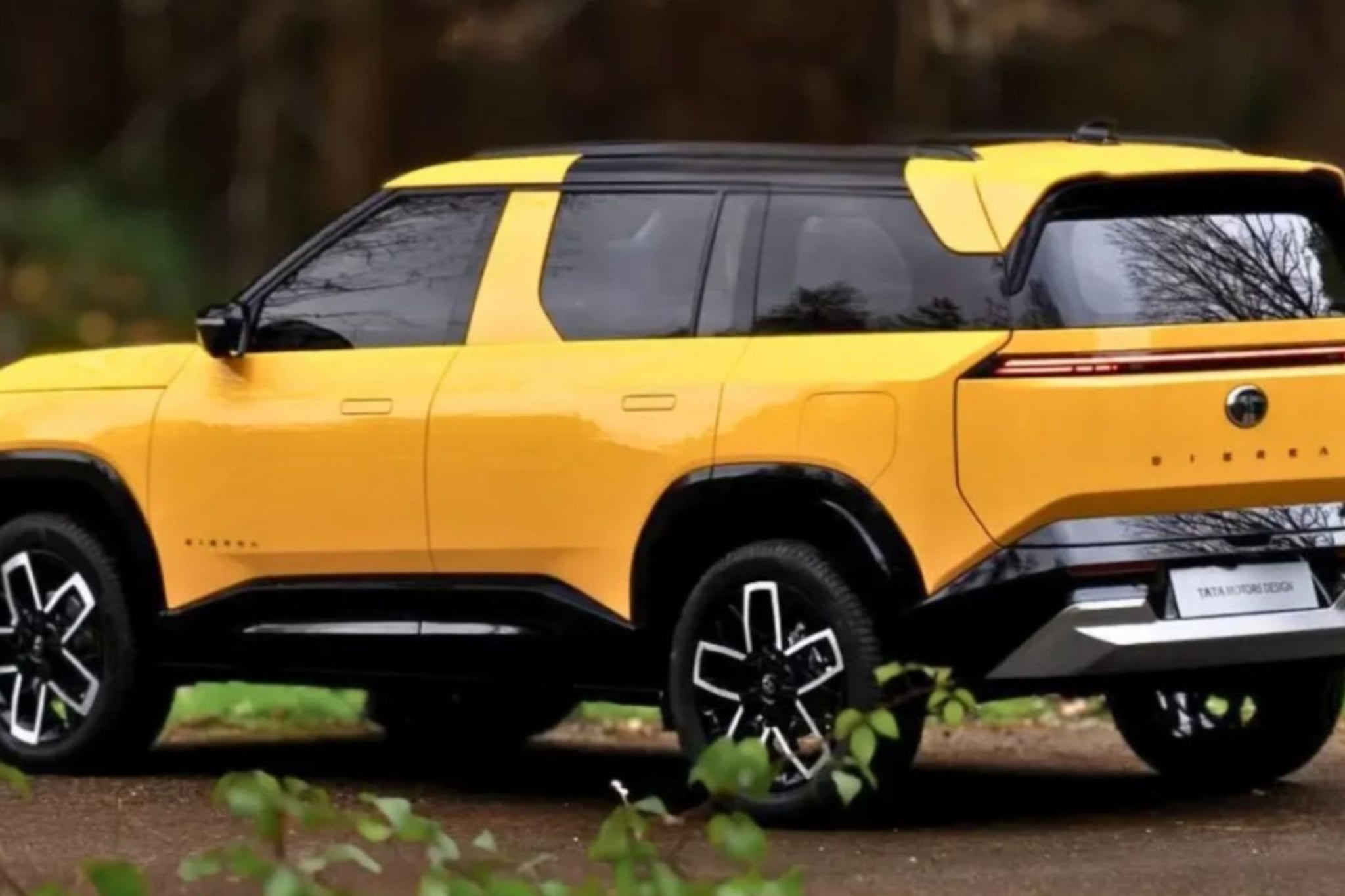 Tata Sierra च्या मायलेजचं सत्य अखेर आलं समोर, RTI मध्ये आश्चर्यकारक आकडेवारी उघड  