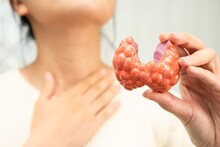 Throat Cancer : घशात सतत खवखव किंवा आवाजात बदल होतोय? दुर्लक्ष करू नका, असू शकतात 'थ्रोट कॅन्सर'ची ही सुरुवातीची लक्षणे