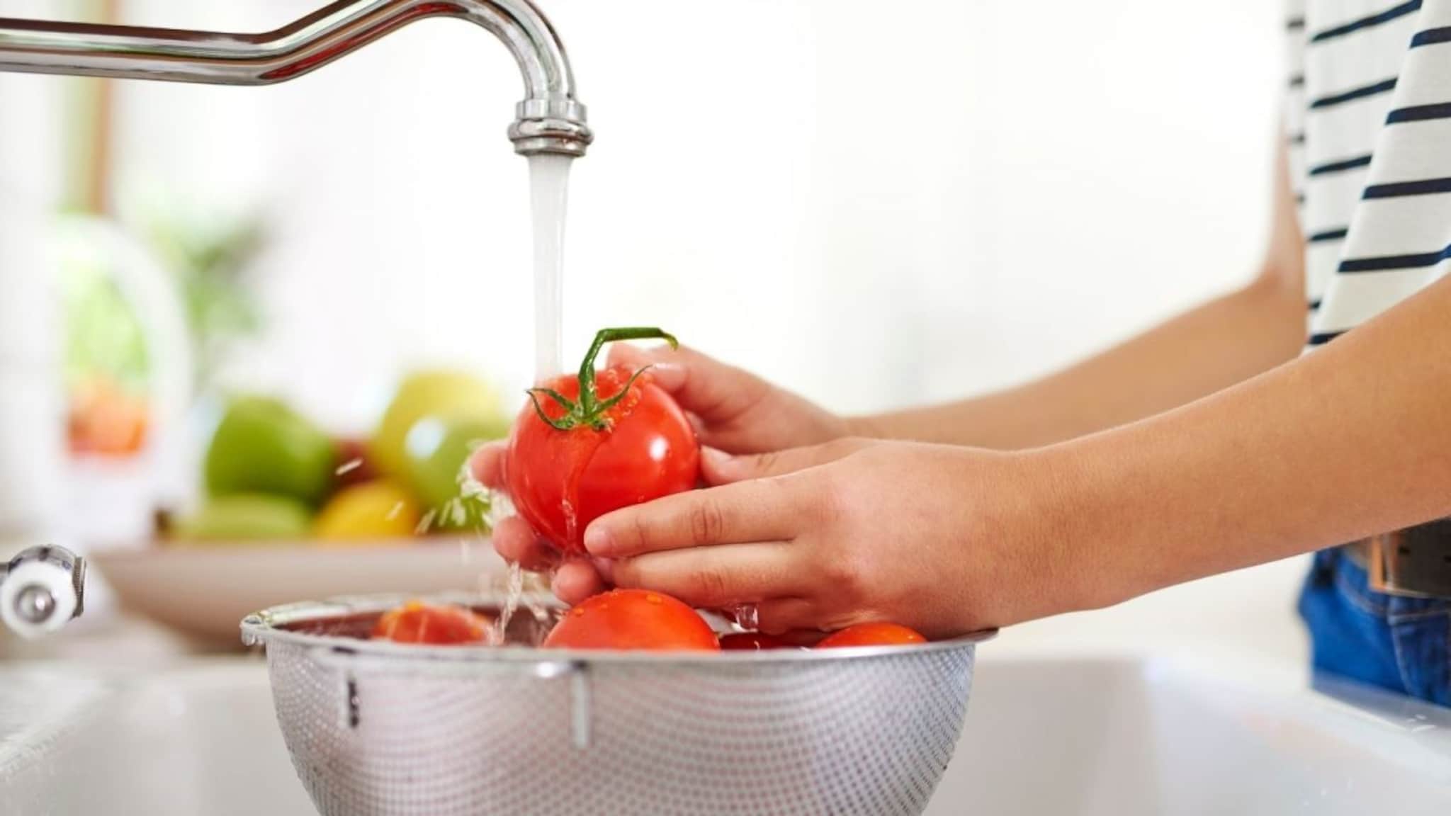 Tomato : टोमॅटो धुण्यासाठी फक्त पाणी पुरेसं नाही, कीटकनाशकं काढण्याची ही आहे योग्य पद्धत; जाणून घ्या सोपी घरगुती ट्रिक