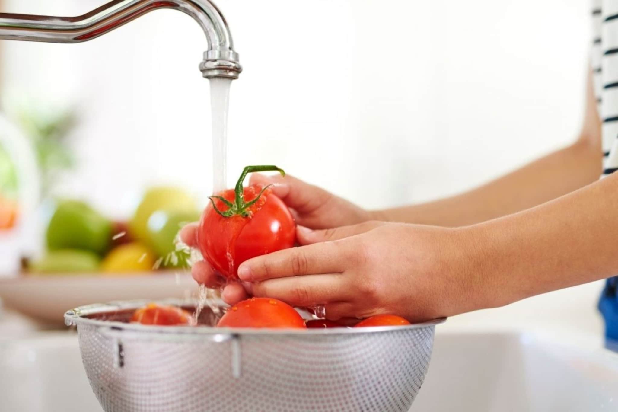 Tomato : टोमॅटो धुण्यासाठी फक्त पाणी पुरेसं नाही, कीटकनाशकं काढण्याची ही आहे योग्य पद्धत; जाणून घ्या सोपी घरगुती ट्रिक