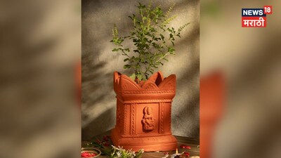 तुळस वास्तु टिप्स: घरात 'या' दिशेला लावा तुळस, चमकेल नशीब, होईल धनवर्षाव.
