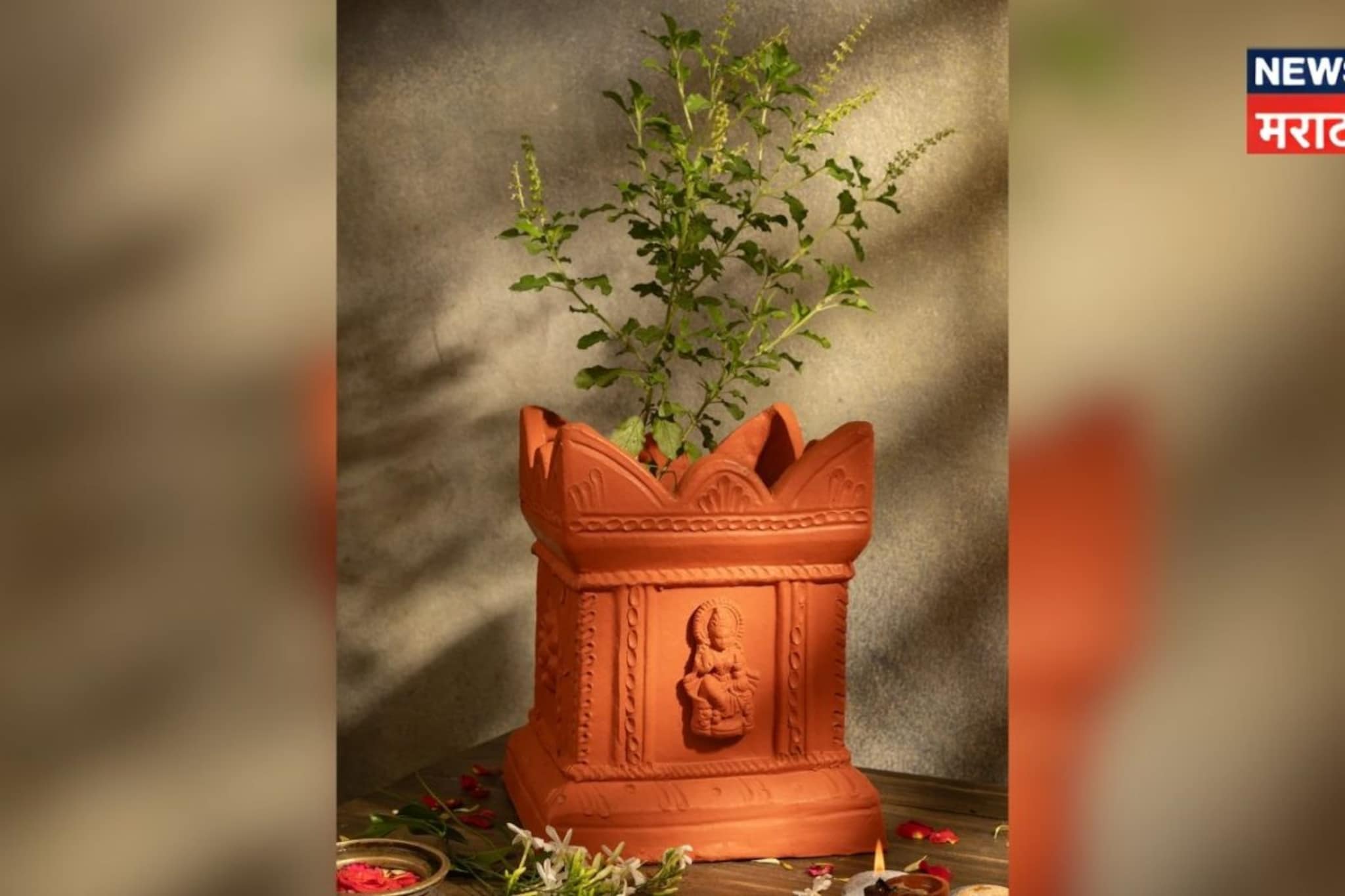 नशिबाची साथ अन् धनवर्षाव! घराच्या 'या' दिशेला लावा तुळस, रातोरात चमकेल नशीब